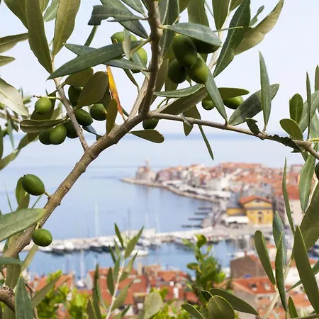 Tourist Farm Tonin - - Happy Apartmán *