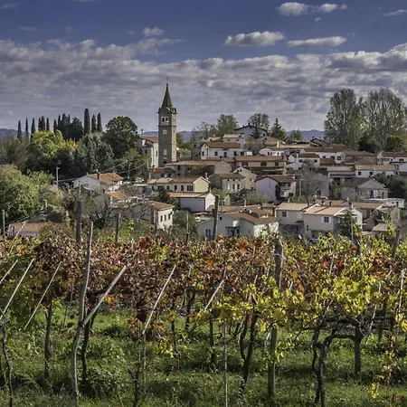 Apartman Tourist Farm Tonin - - Happy