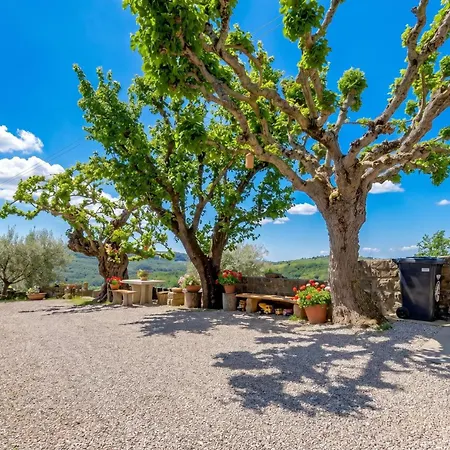 Tourist Farm Tonin - - Happy