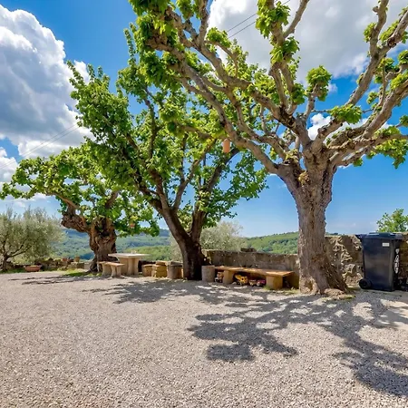 Tourist Farm Tonin - - Happy Apartmán
