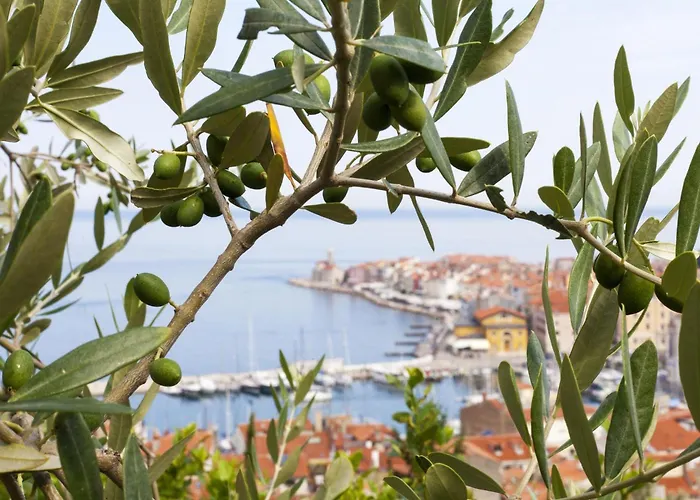 Tourist Farm Tonin - - Happy アパート *