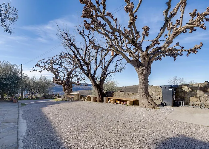 Tourist Farm Tonin - - Happy Šmarje